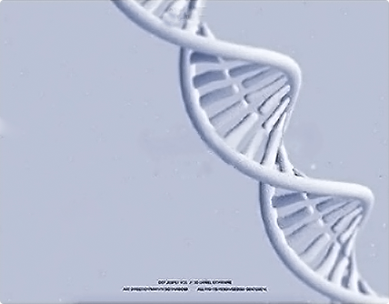 黑利伯瑞学校